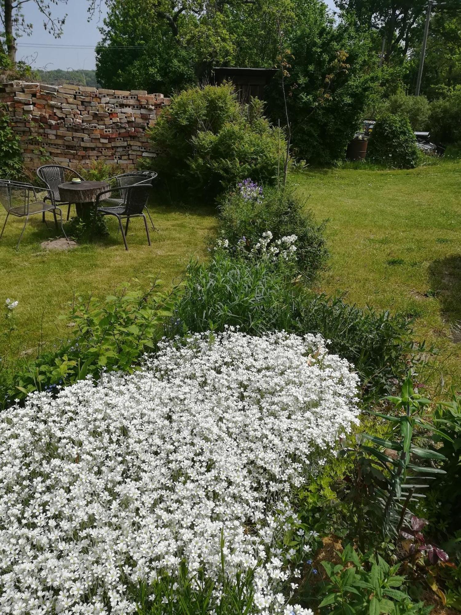 Ferien In Der Scheune Dettmannsdorf 外观 照片