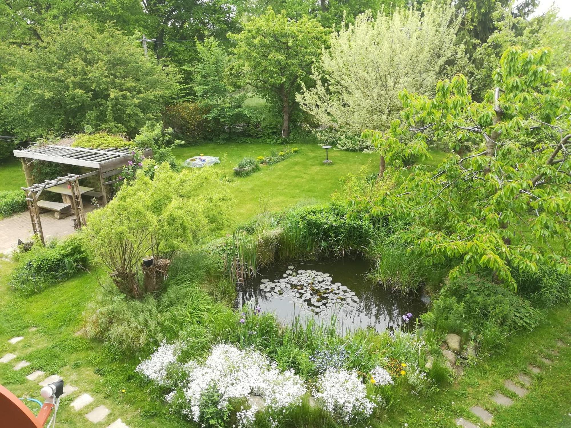 Ferien In Der Scheune Dettmannsdorf 外观 照片
